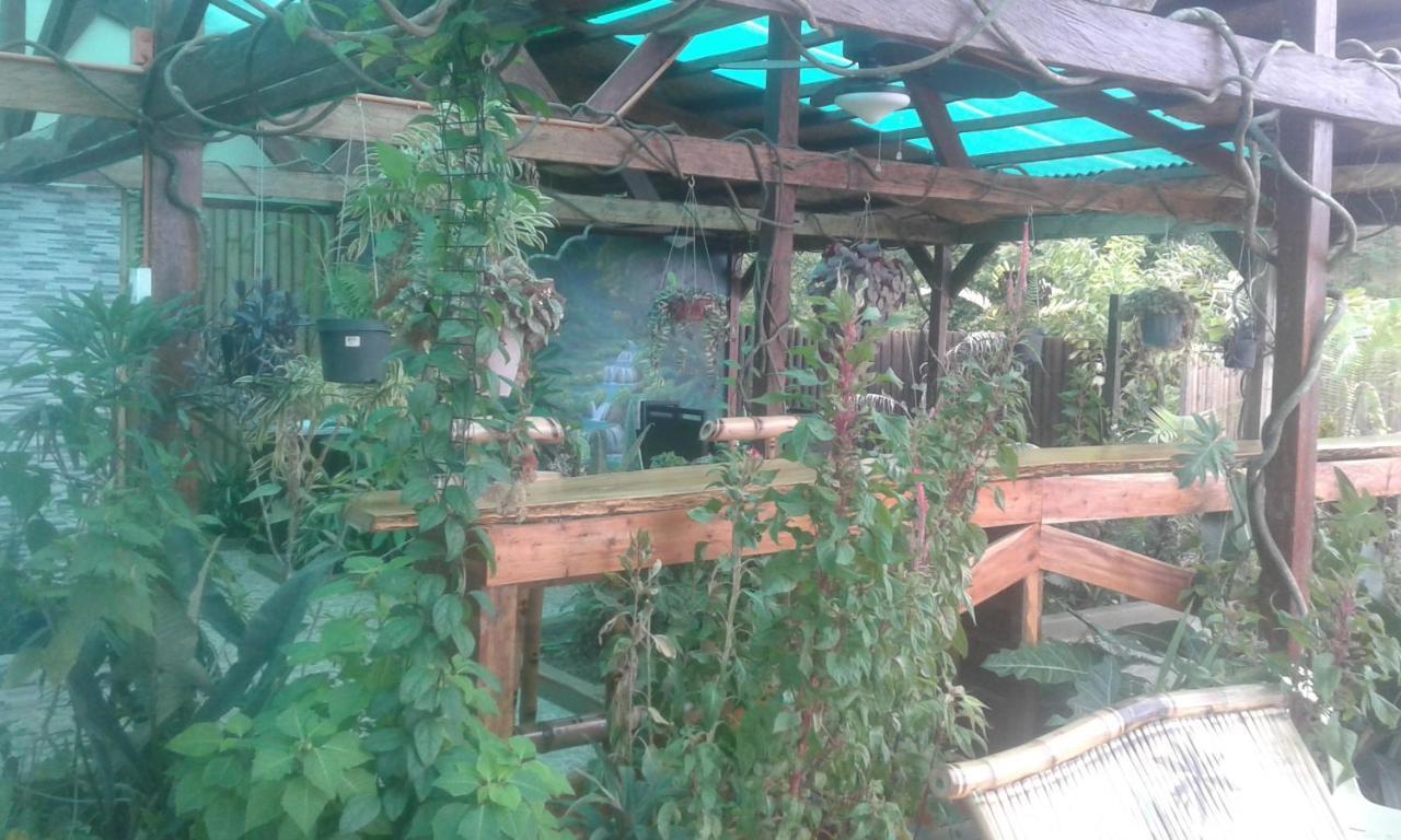Jungle Of Peace Resort 시퀴조르 외부 사진
