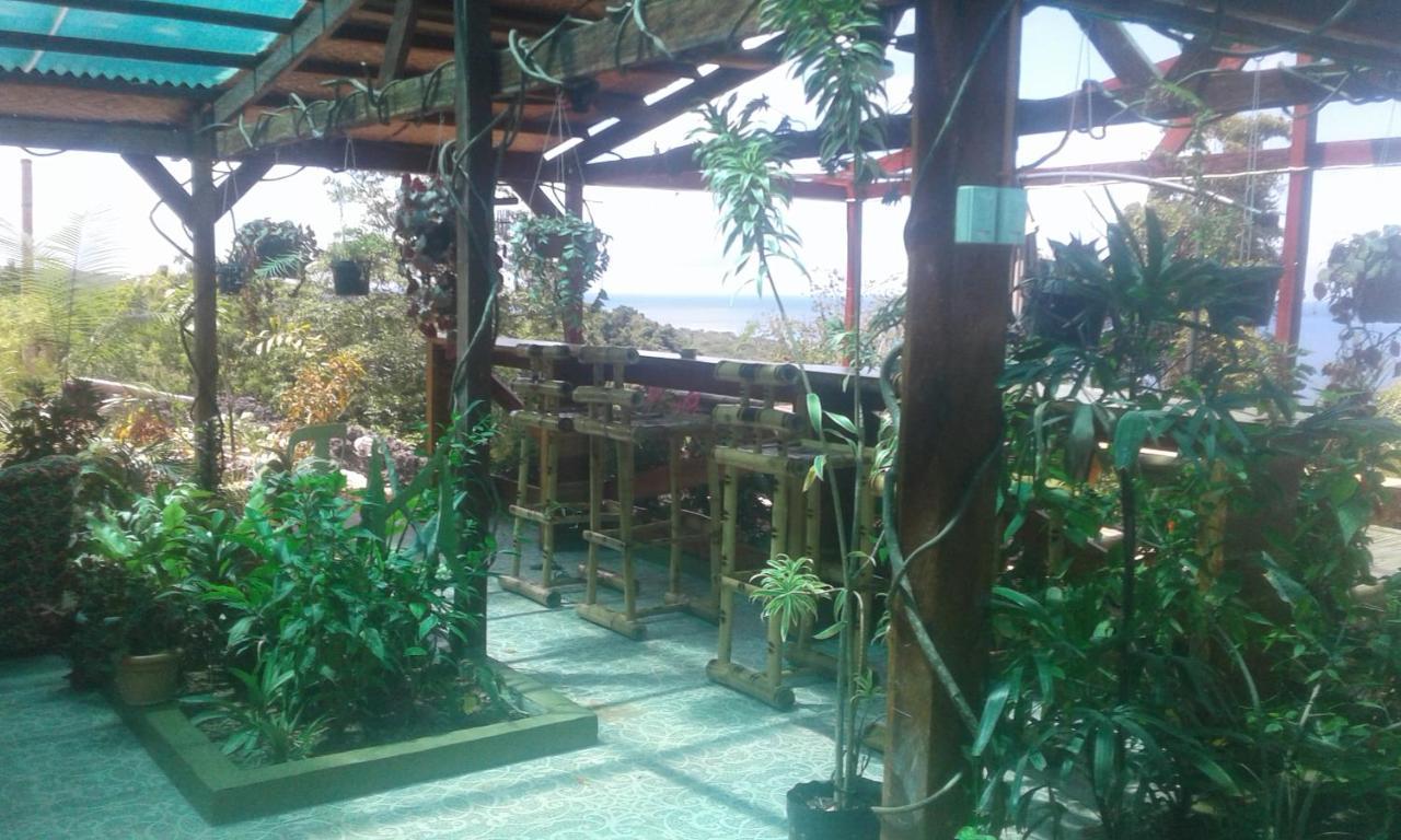 Jungle Of Peace Resort 시퀴조르 외부 사진