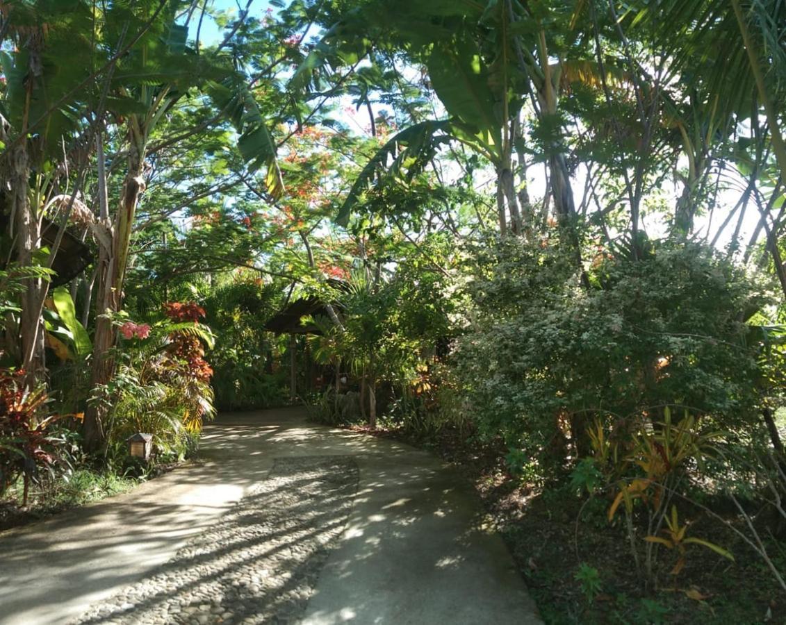 Jungle Of Peace Resort 시퀴조르 외부 사진