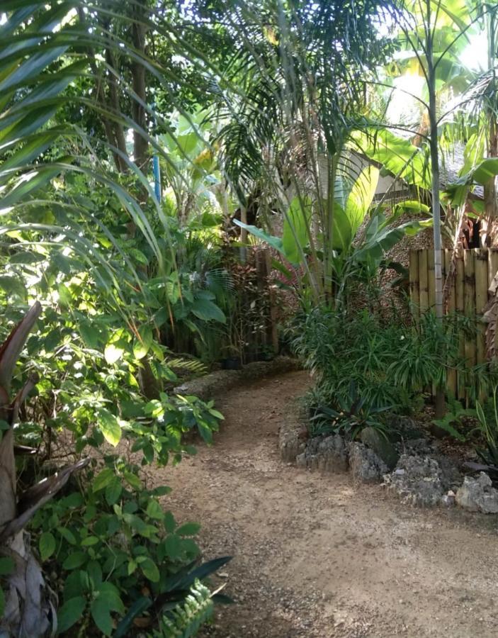 Jungle Of Peace Resort 시퀴조르 외부 사진
